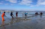 Guest House Karibu In Paternoster