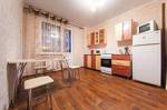 Apartment Domashniy Uyut na Antonova