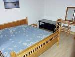 Apartment Brodarica 919a