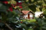 Fazenda Camping Cabral