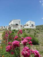 Cabañas Altos de Tafi